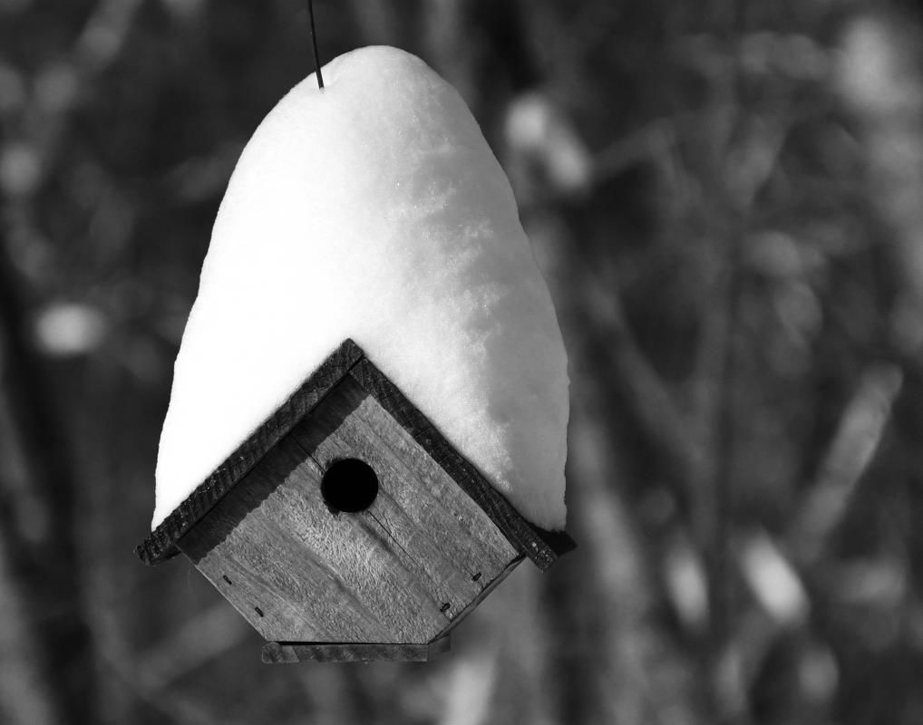 Paula Clements: Smurf House